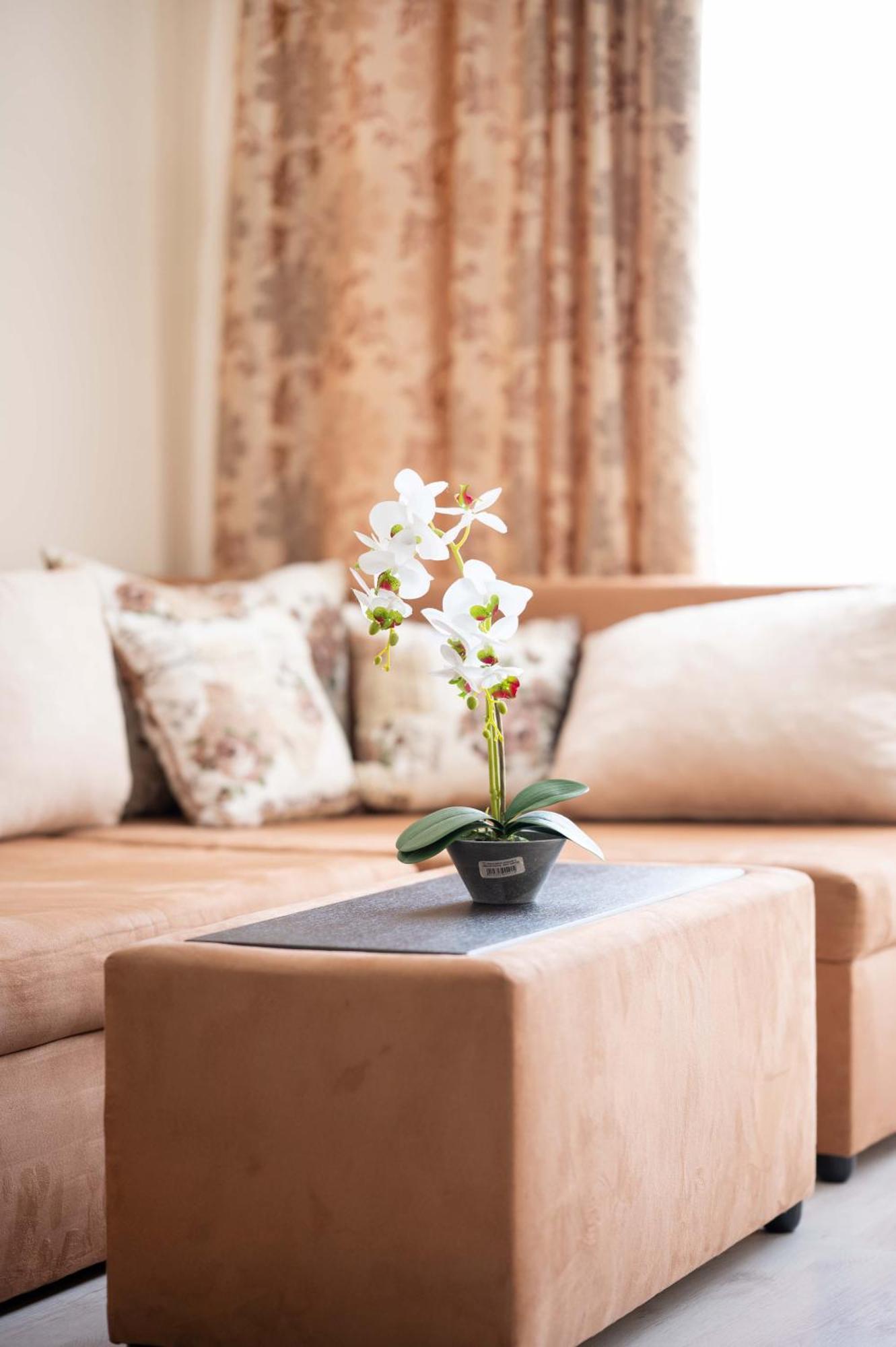 Sveti Vlas Apartments المظهر الخارجي الصورة